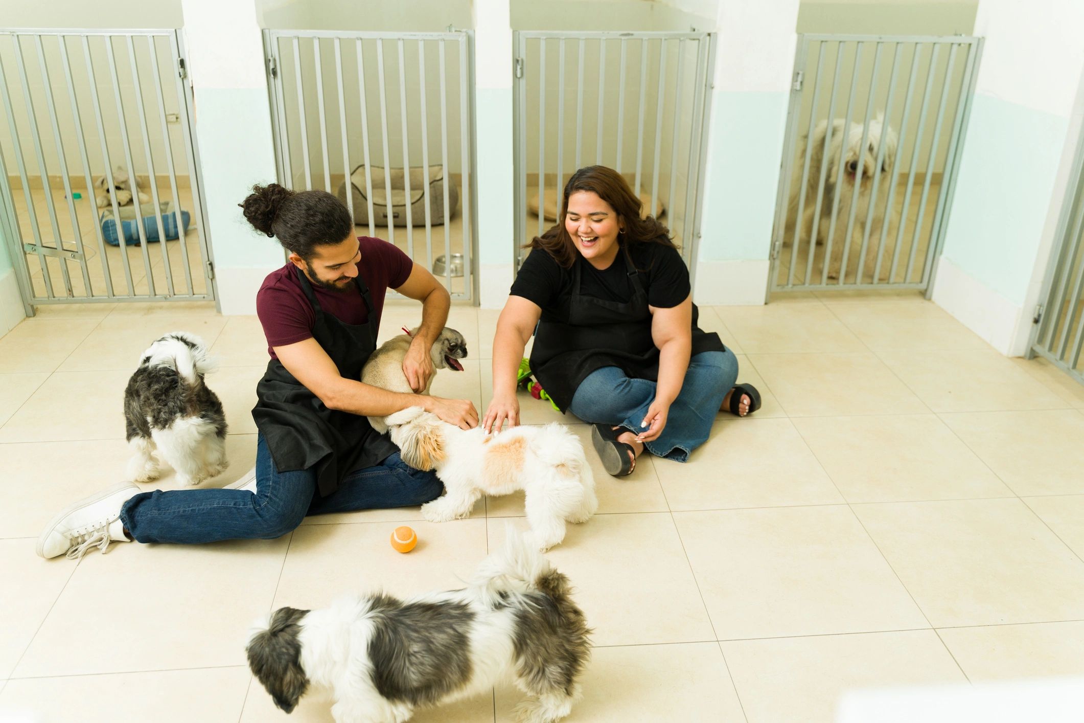 Happy workers having fun playing with shih tzu