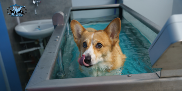 Hydrotherapy