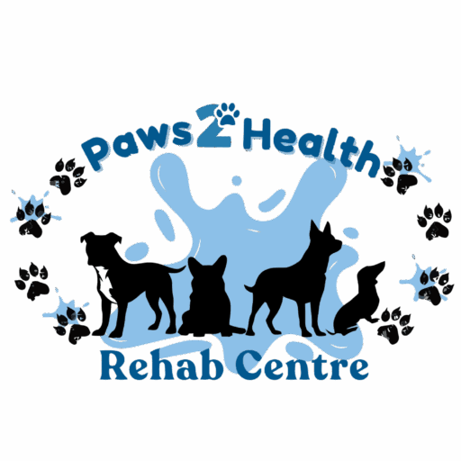 Paws 2 Health Rehab Centre Paws 2 Health Rehab Centre