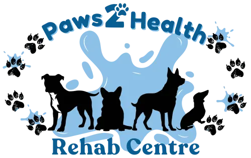 Paws 2 Health Rehab Centre