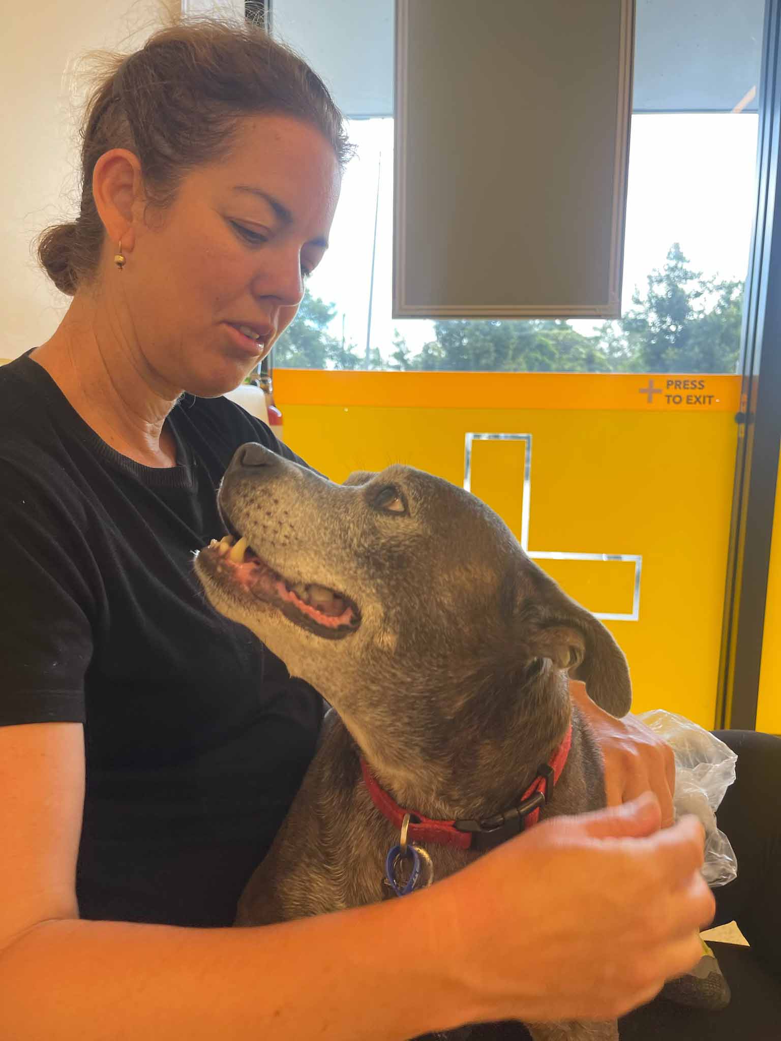 Paws2Health Rehab Centre