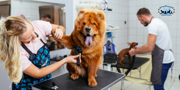 Grooming Package