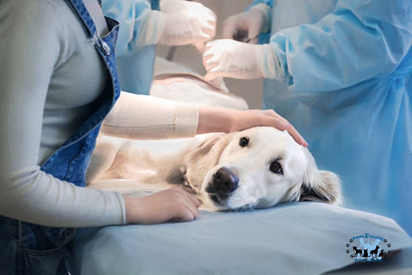 Surgical recovery